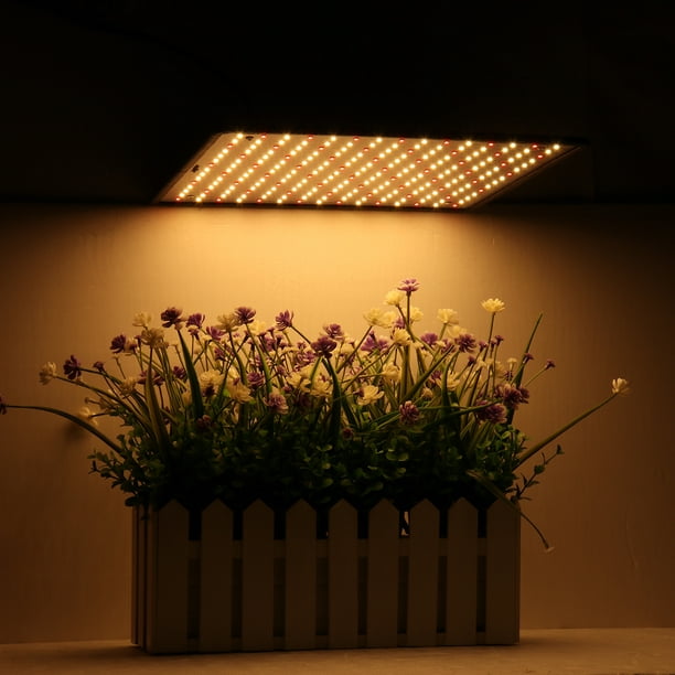 COB LED Grow Light Full Spectrum Growing Plant Lamp For Veg Flower Hydroponics